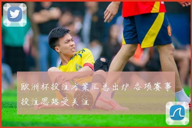 欧洲杯投注方案汇总出炉 各项赛事投注思路受关注