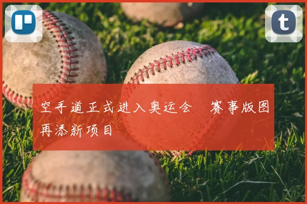空手道正式进入奥运会 赛事版图再添新项目