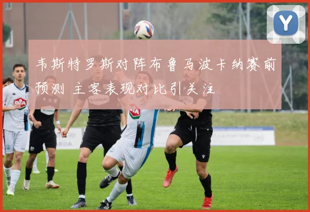 韦斯特罗斯对阵布鲁马波卡纳赛前预测 主客表现对比引关注