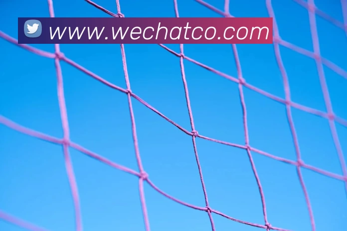 App Interface Preview